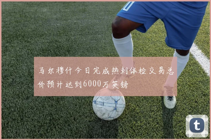 马尔穆什今日完成热刺体检交易总价预计达到6000万英镑